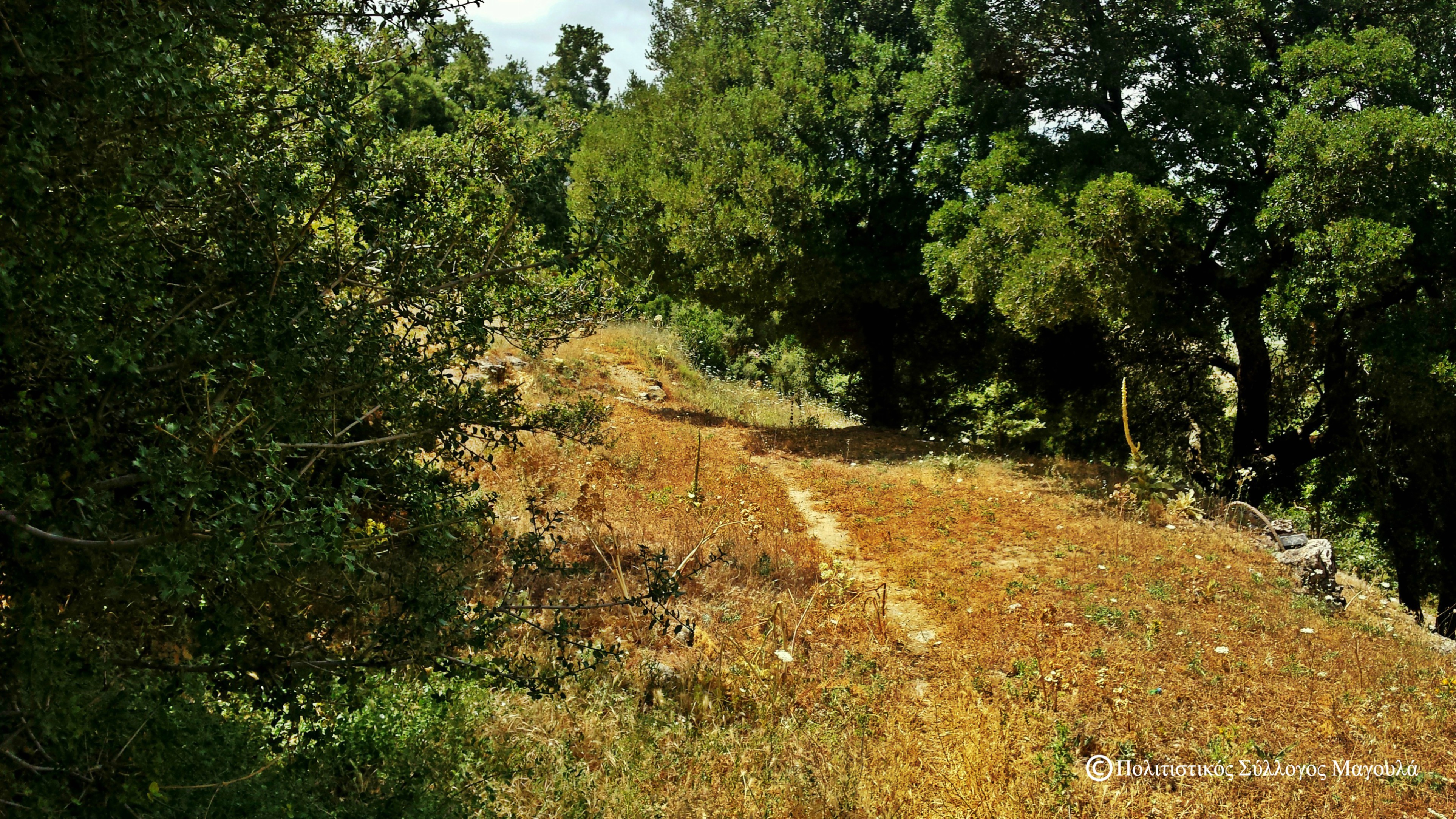 Δρόμος από το Μαγουλά προς τα Ριμάμπελα- Path from Magoula to Rimabela